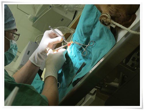 20251024-8c3y0 20251024-8c3y0