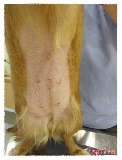 20251024-92hs2 20251024-92hs2