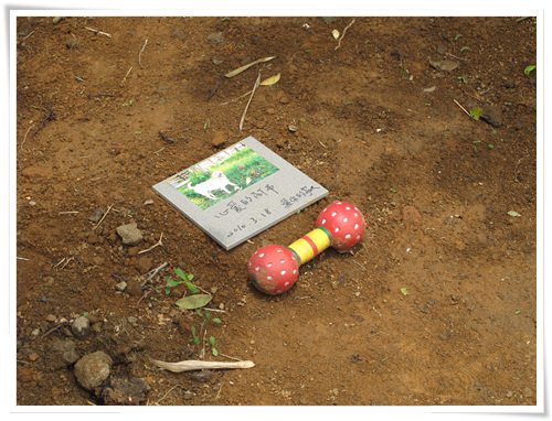 20251024-961yw 20251024-961yw