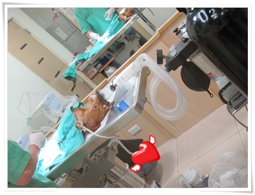 20251024-bk4hn 20251024-bk4hn