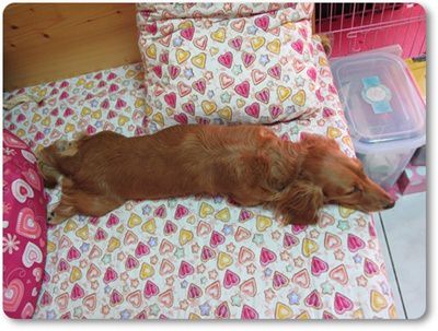 20251024-cheza 20251024-cheza