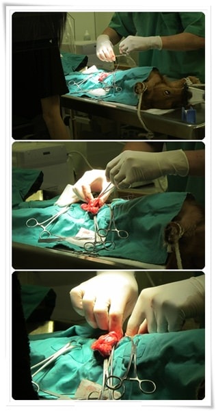 20251024-djuz2 20251024-djuz2