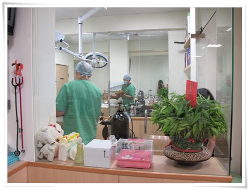 20251024-drstv 20251024-drstv