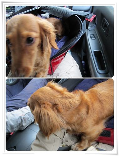 20251024-e4zfy 20251024-e4zfy