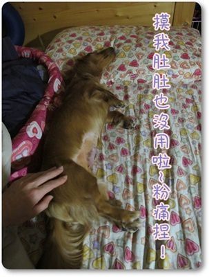 20251024-f85j1 20251024-f85j1