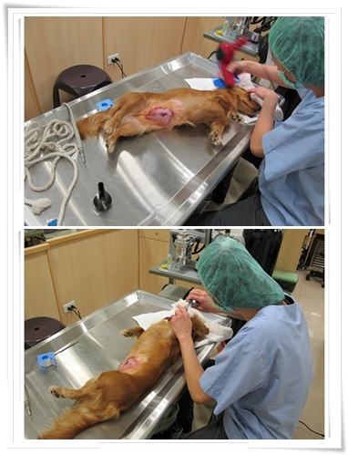 20251024-g93on 20251024-g93on