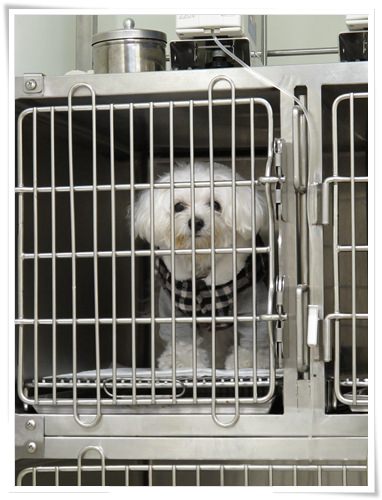 20251024-gdukx 20251024-gdukx