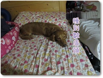 20251024-gg4ny 20251024-gg4ny