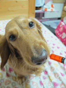 20251024-gpkd4 20251024-gpkd4