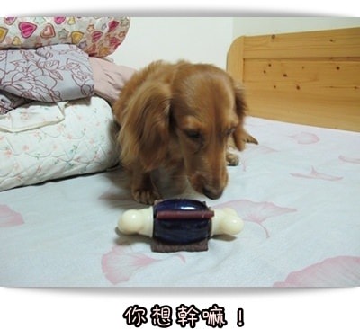 20251024-gsr59 20251024-gsr59