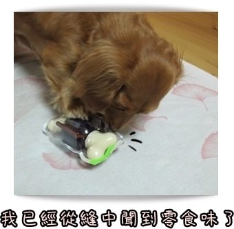 20251024-gzhau 20251024-gzhau