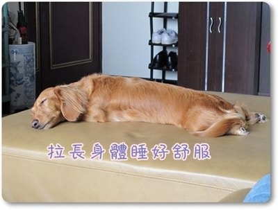 20251024-hg8gx 20251024-hg8gx