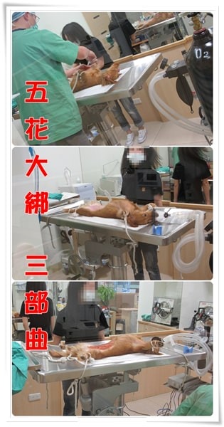 20251024-i33z1 20251024-i33z1