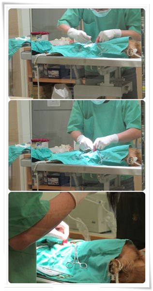 20251024-ih97m 20251024-ih97m