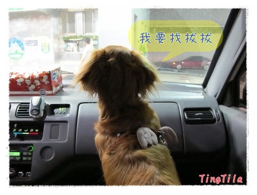 20251024-iipcx 20251024-iipcx