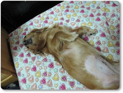 20251024-j3xl9 20251024-j3xl9