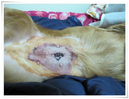 20251024-j5sr7 20251024-j5sr7