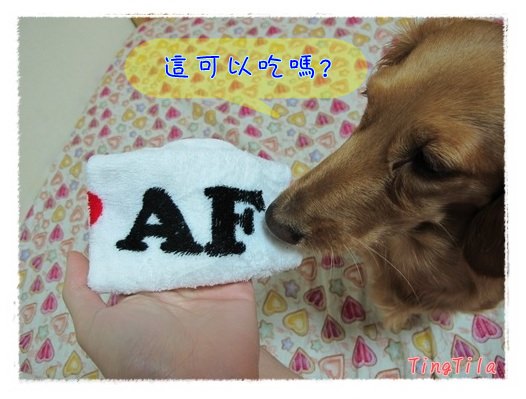 20251024-jenou 20251024-jenou