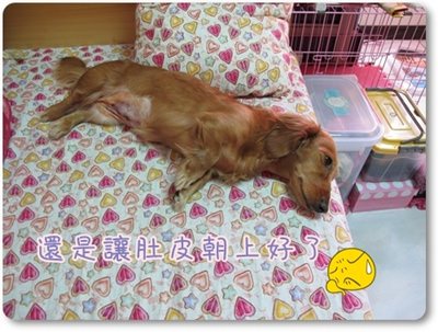 20251024-lgppr 20251024-lgppr