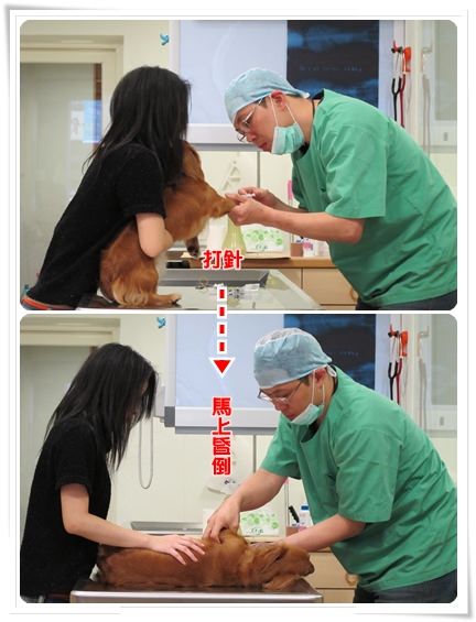 20251024-lk6xy 20251024-lk6xy