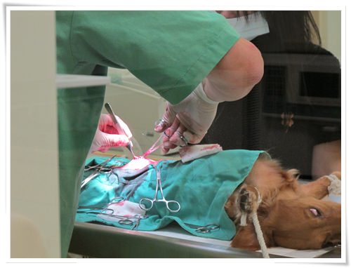 20251024-m8luk 20251024-m8luk