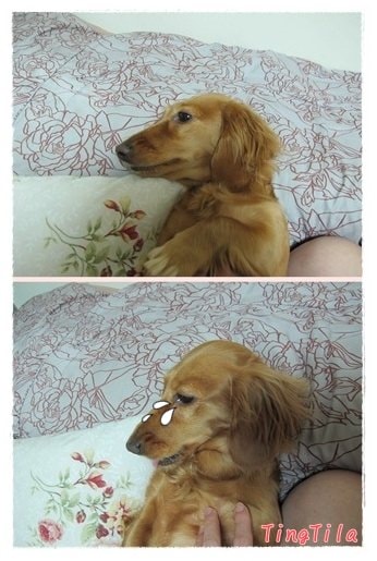 20251024-mjfoy 20251024-mjfoy