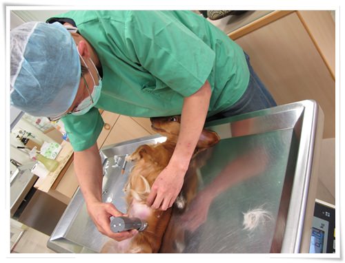 20251024-nyxd0 20251024-nyxd0