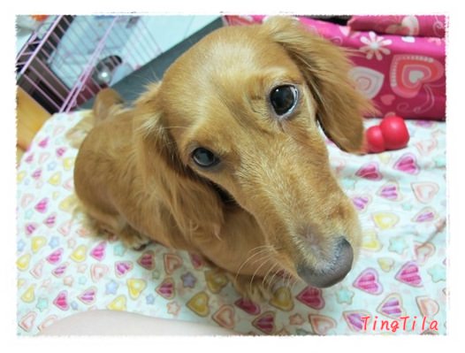 20251024-oi1qu 20251024-oi1qu