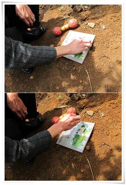 20251024-oyog1 20251024-oyog1