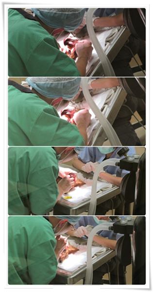 20251024-pzl3y 20251024-pzl3y