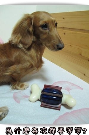 20251024-q6sit 20251024-q6sit