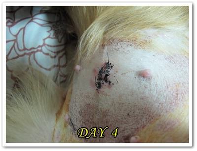 20251024-r0y6z 20251024-r0y6z