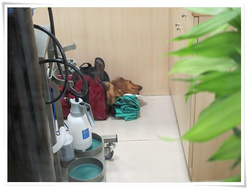 20251024-sd4ik 20251024-sd4ik