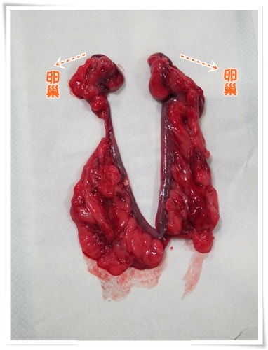 20251024-sjjxe 20251024-sjjxe