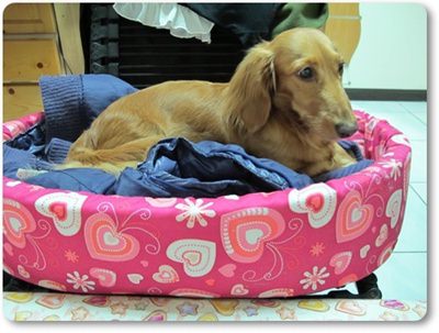 20251024-tr6da 20251024-tr6da