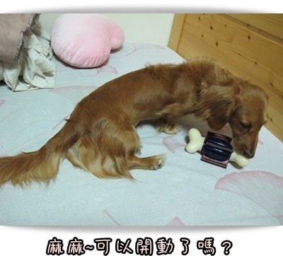 20251024-udo7w 20251024-udo7w