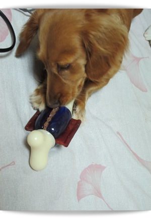 20251024-v36ri 20251024-v36ri