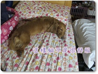 20251024-v66i8 20251024-v66i8