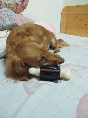 20251024-w2sma 20251024-w2sma