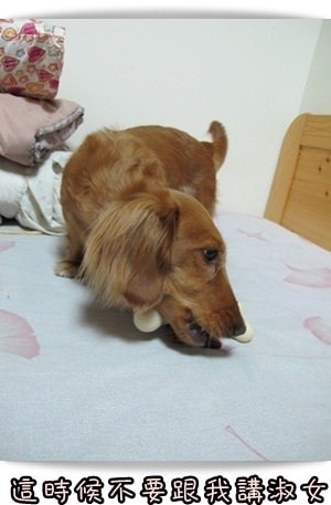 20251024-x1z9w 20251024-x1z9w