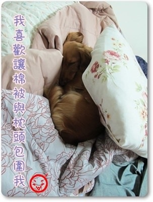 20251024-y4b60 20251024-y4b60