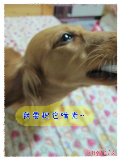 20251024-yb766 20251024-yb766