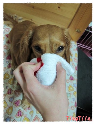 20251024-yjpyy 20251024-yjpyy