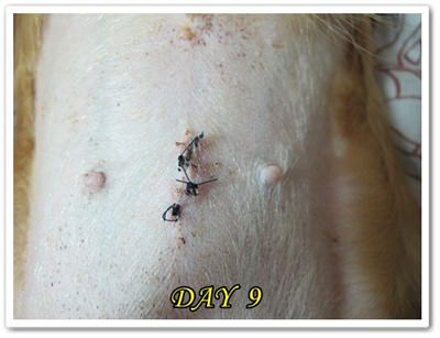 20251024-yq321 20251024-yq321