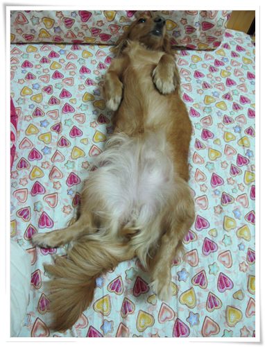 20251024-z9upl 20251024-z9upl