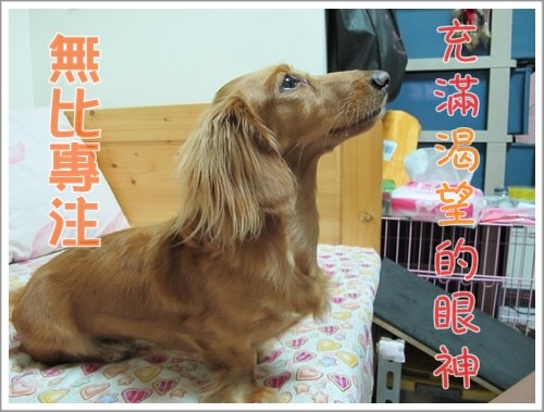 20251024-5c9zy 20251024-5c9zy