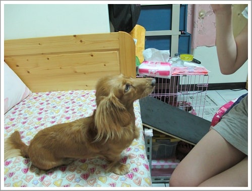 20251024-5swda 20251024-5swda