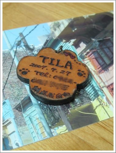 20251024-81590 20251024-81590