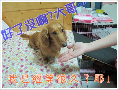 20251024-dd7x5 20251024-dd7x5