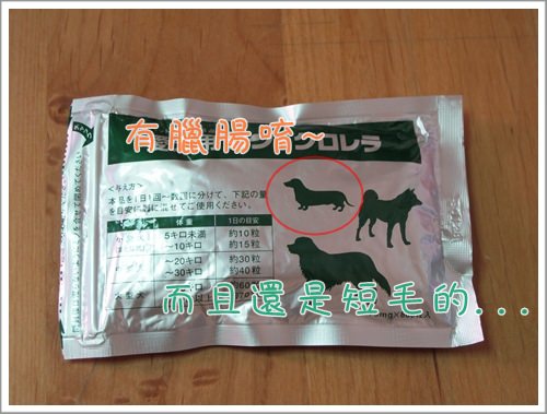 20251024-jr0il 20251024-jr0il